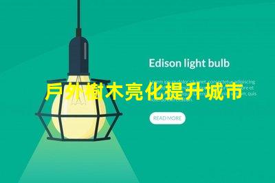 戶外樹木亮化提升城市美感與安全性的最佳解決方案