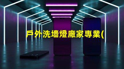 戶外洗墻燈廠家專業(yè)生產(chǎn)高效節(jié)能洗墻燈的領(lǐng)導(dǎo)者