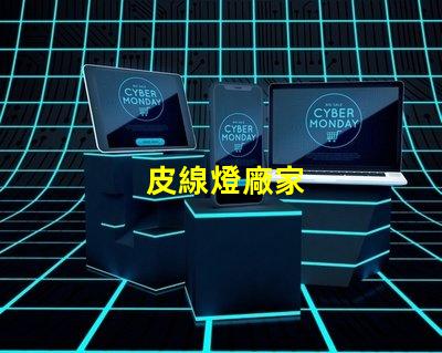 皮線燈廠家