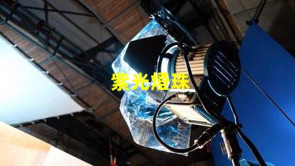 紫光燈珠
