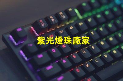 紫光燈珠廠家