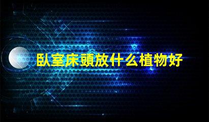 臥室床頭放什么植物好助眠植物推薦與效果分析
