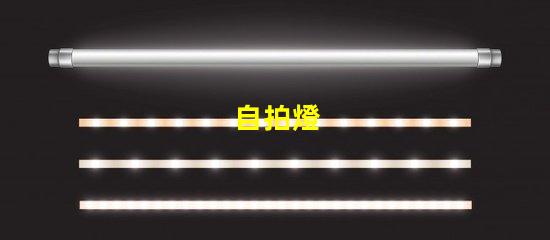 自拍燈