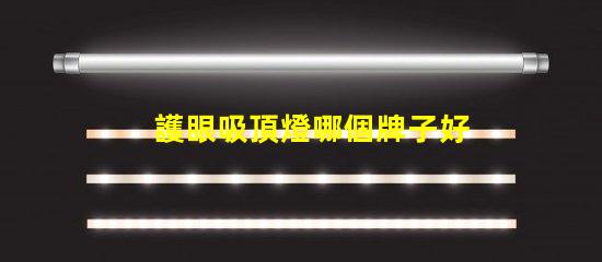 護眼吸頂燈哪個牌子好優(yōu)質護眼燈具選擇指南