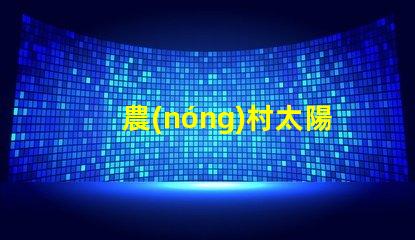 農(nóng)村太陽(yáng)能路燈廠家高效光源與節(jié)能解決方案