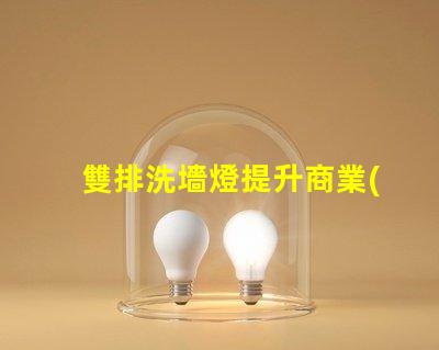 雙排洗墻燈提升商業(yè)空間氛圍的照明解決方案