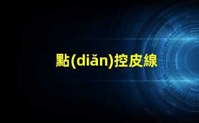 點(diǎn)控皮線燈